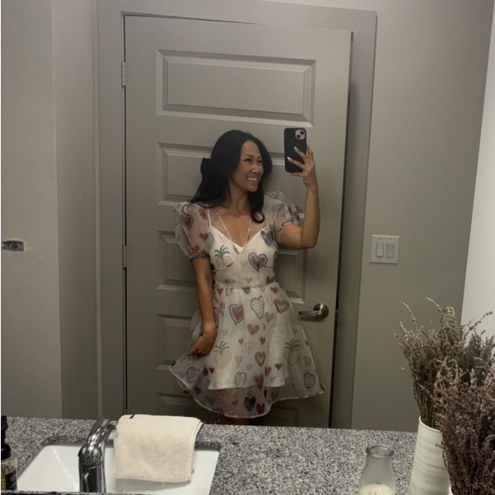 NWT $228 Anthropologie x Farm Rio Semi Sheer Puff-Sleeve Mini Heart Dress S - Picture 2 of 16